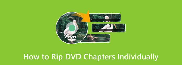 Rip DVD Chapters Individually