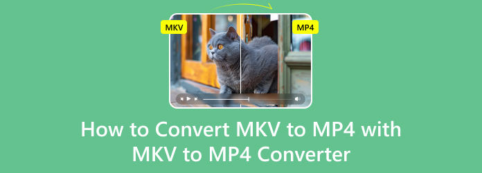 MKV to MP4