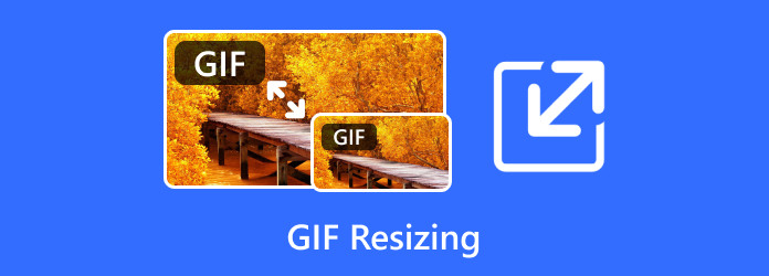 GIF Resizing