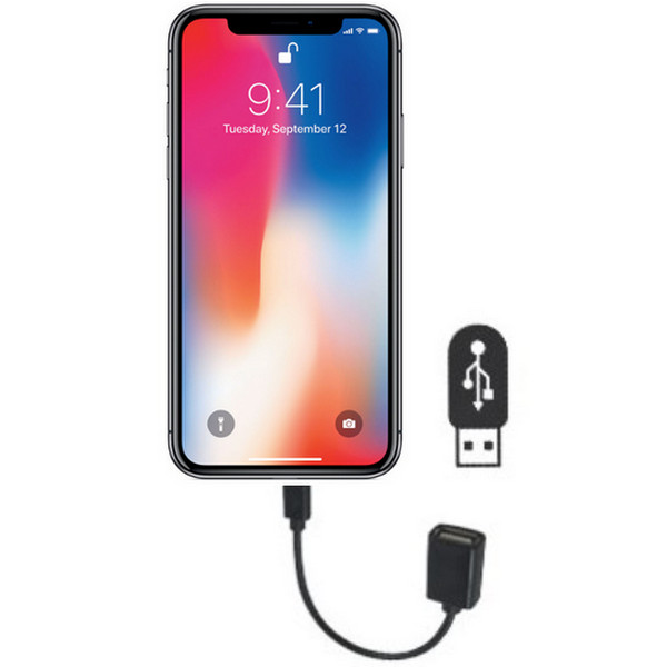 iPhone USB Transfer OTG