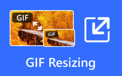 GIF Resizing