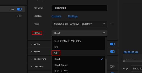 Choose Gif Format Premiere.