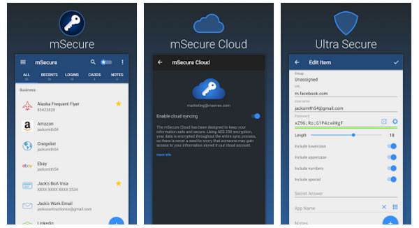 msecure password manager review