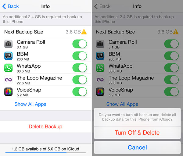 Turn Off iCloud Backup Files