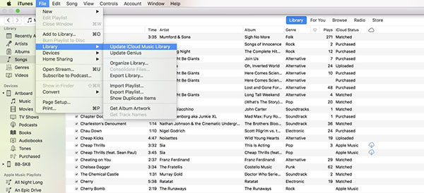 Update iCloud Music Library