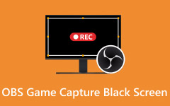 OBS Game Capture Black Screen