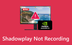 ShadowPlay Not Recording