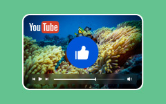 Best Video Formats for YouTube