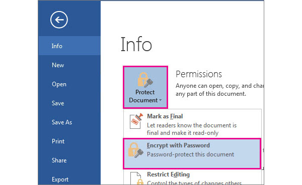 word document password protect editing