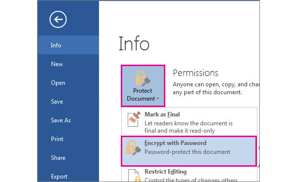 protect word document editing