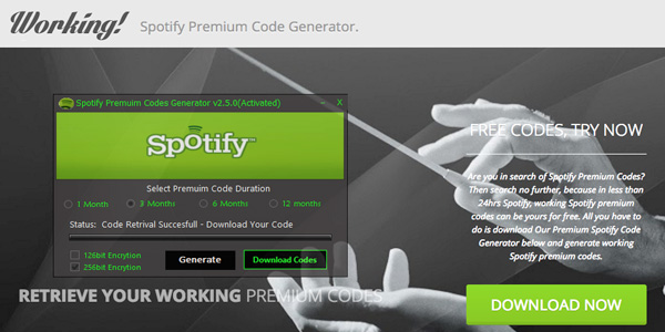 enter spotify code
