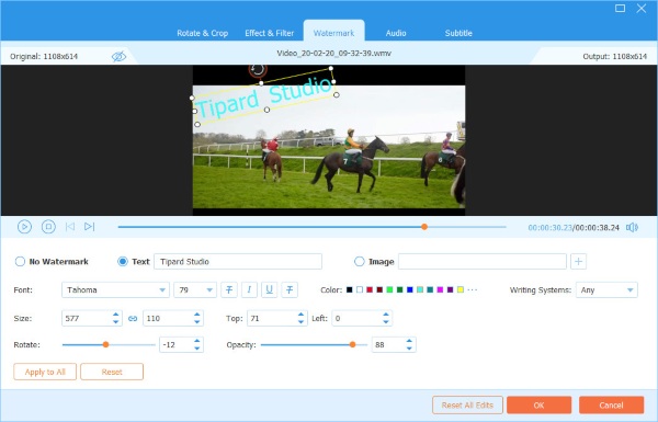 Video Converter Ultimate watermark