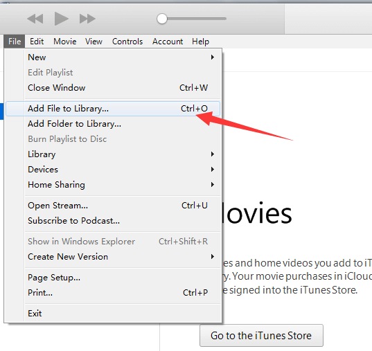 using itunes for mp4 metadata editor windows