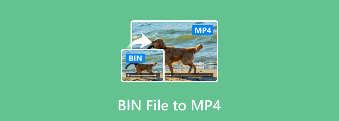 BIN file to MP4