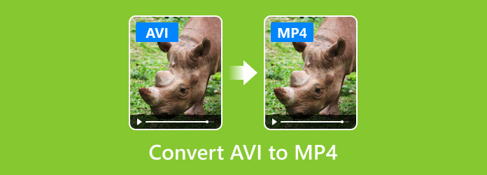 mp4 to avi for mac