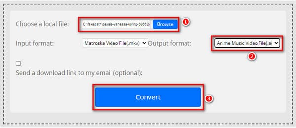 EaseFab Video Converter MKV to AMV