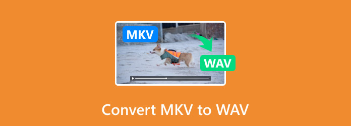 Convert MKV to WAV