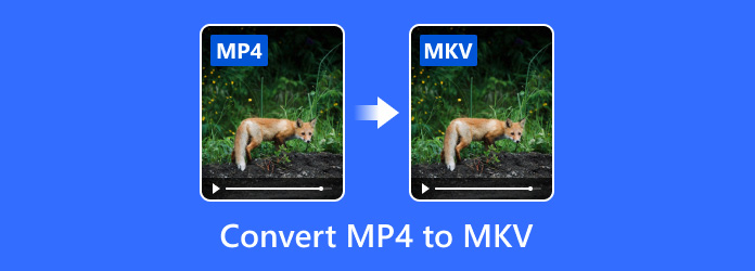 convert mkv to mp4 with subtitles handbrake