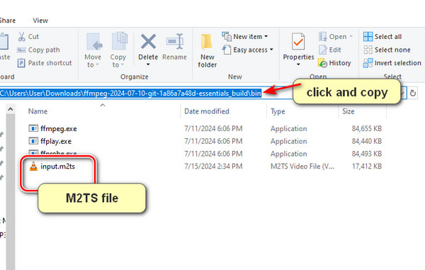 Copy Bin Folder And Put M2ts File