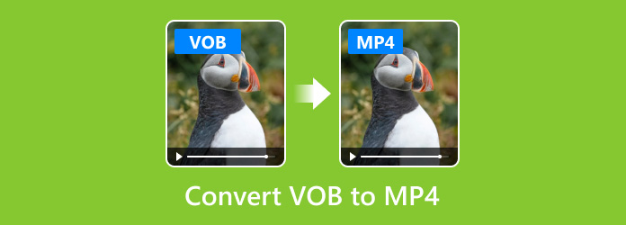 what is the best mp4 to vob converter