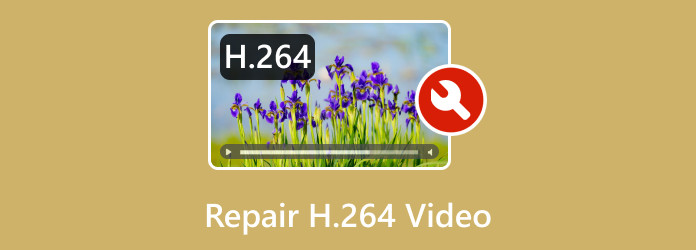 Fix H264 Videos