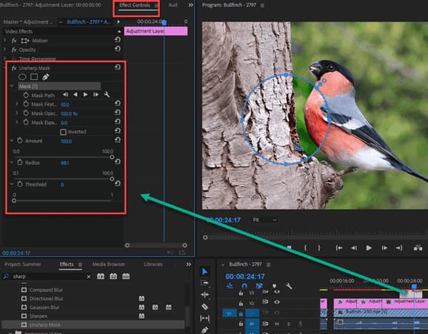 Adobe Premiere Unsharp Mask Paramets