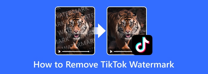 5 Easy Ways to Remove the TikTok Watermark