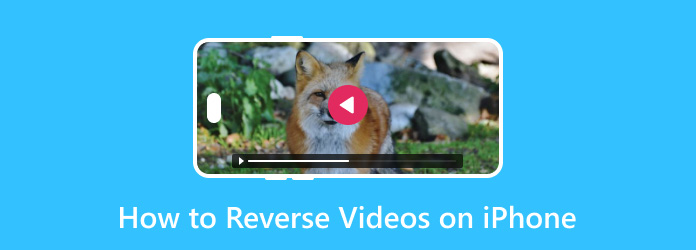 How to Reverse Videos on iPhone