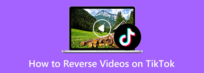 Video Reversers