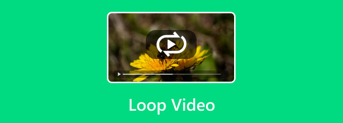 Loop Video