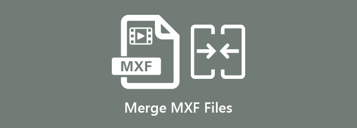 Merge MXF Files