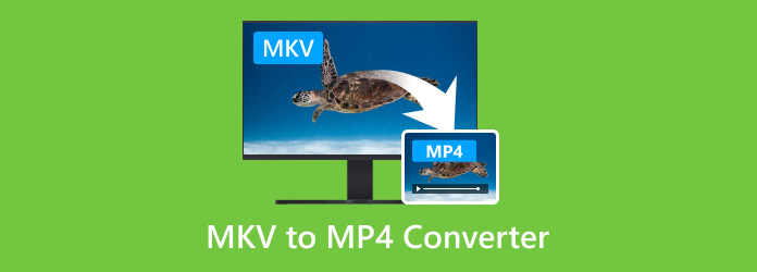 MP4 to MOV converter