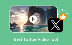 Best Twitter Video Tool