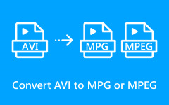 Convert AVCHD to MP4