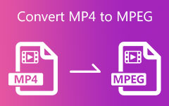 convert mp4 video to amv