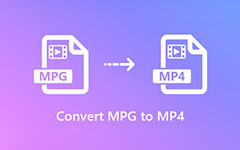 convert .mpx to mpp