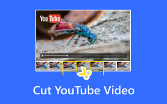 Cut Youtube Video