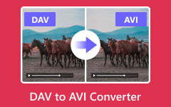 Dav to AVI Converter