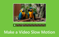 How to Make a Video Slow Motion