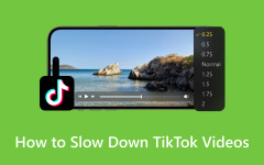 How to Slow Down the TikTok Videos