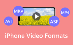 iPhone Video Formats