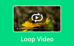 Loop Video