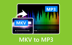 MKV To MP3