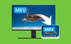 MP4 to MOV converter