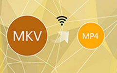 best mkv to mp4 converter