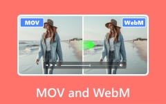 MOV And WebM