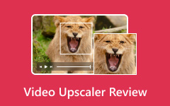 Video Upscaler Review