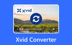 Xvid Converters