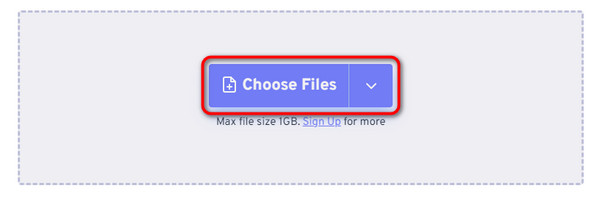 Choose Files Option