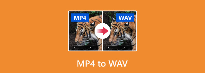 mac mp4 to wav